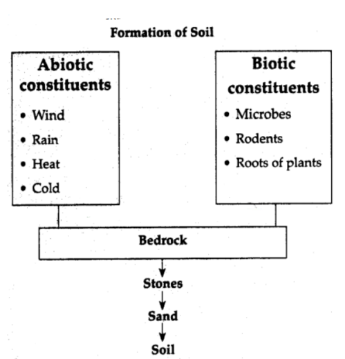 formation of soil.PNG