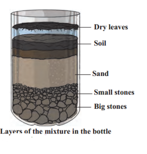 layer of soil.PNG